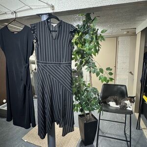 Black and White Striped Dress